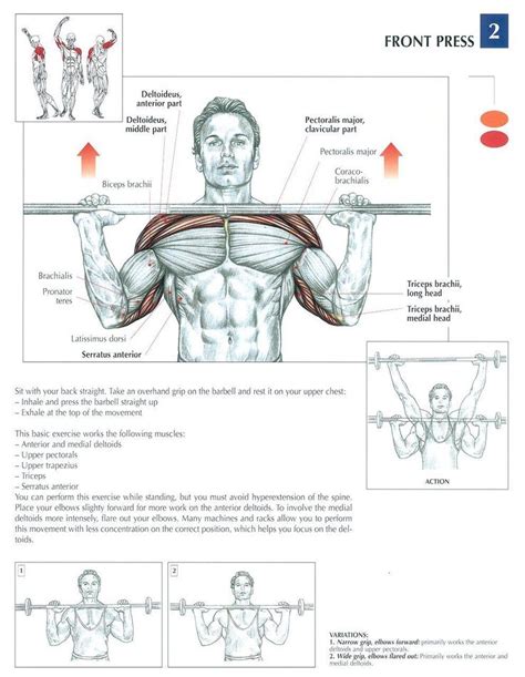 Tutorials on the shoulder muscles (e.g rotator cuff muscles: Front Press ♦ #health #fitness #exercises #diagrams #body ...