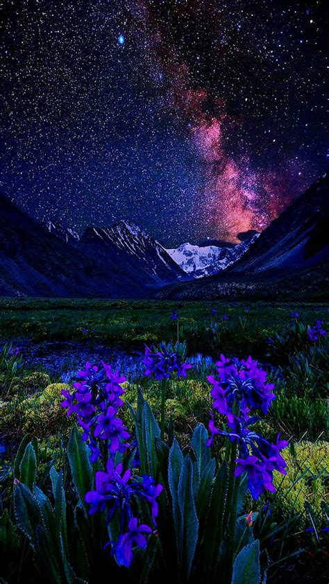 Pin By James Page On Flowers Night Sky Photography Nature Pictures