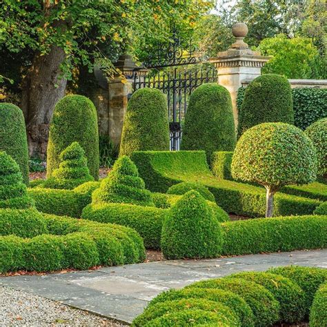 🇬🇧 Topiary Garden Bourton House Garden Gloucestershire England By