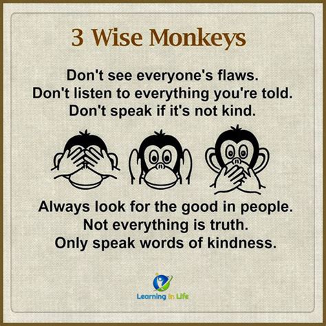 3 Wise Monkeys Learning In Life