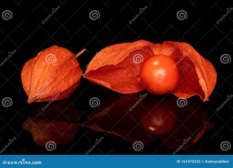 Fresh Orange Physalis Isolated On Black Glass Stock Image Image Of