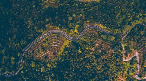 Aerial Photography Of Road Beside Forest · Free Stock Photo