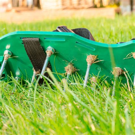 Lawn aeration is the process of making small holes in your lawn which allow water, oxygen and vital nutrients to penetrate into the roots of the grass. Best Aerator For Lawn - Aumondeduvin.com