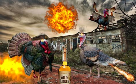 Revenge Seeking Turkeys Are Attacking America Kqed