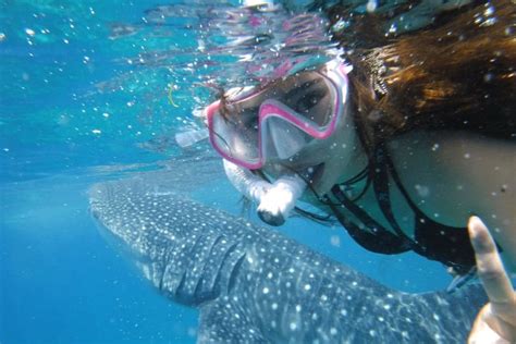 お客様の「フィリピン・セブ島 女子旅旅行記」vol 153 トラベルスタンダードジャパン