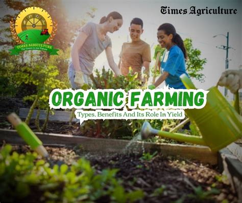 Organic Farming Types Benefits And Its Role In Yield Times Agriculture