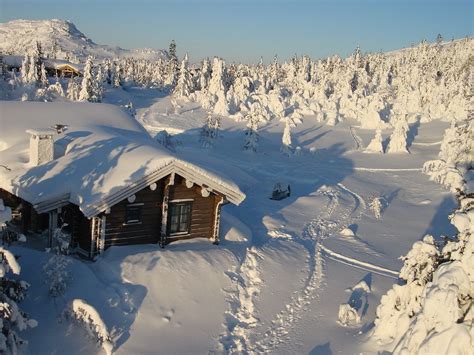 Download Wallpaper 1600x1200 House Wood Solitude Snowdrifts Snow