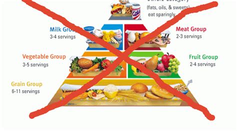 Food Pyramid Fallacies Whats Wrong With The Food Pyramid Guidelines