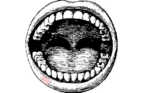 Black And White Cartoon Screaming Mouth Transparent Background Blank