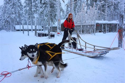 Amazing Reindeer Safari And Husky Sledge Ride In Lapland Finland Anna