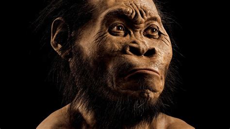 New Species Of Human Ancestor Homo Naledi Discovered In South Africa