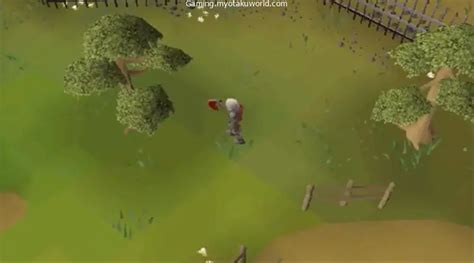 Whats The Best Yew Tree Spot In Osrs F2p P2p Gaming Mow