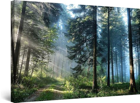 Startonight Impression Sur Toile Route Dans La Forêt Tableau Paysage