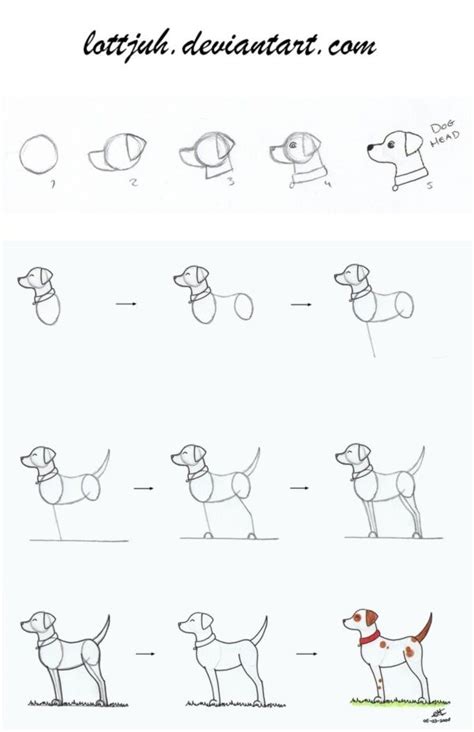 How To Draw A Dog Step By Step Easily Art Drawings For Kids Art