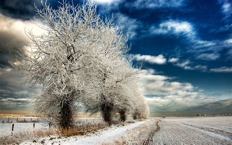 Find the best winter landscape wallpaper on wallpapertag. 41+ Winter Landscape Wallpaper for Desktop on ...