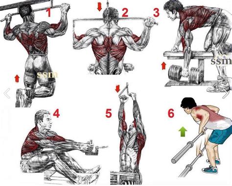 Back Workout Routine For Mass