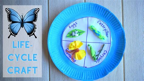 Butterfly Lifecycle Paper Plate Craft Idea Fun Learning Activity For