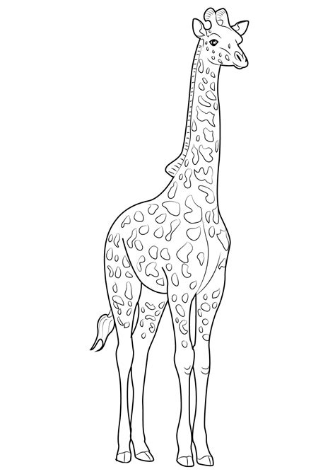 30 Disegni Di Giraffe Da Colorare Pianetabambiniit