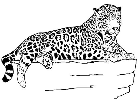 Jaguar Coloring Pages Printable