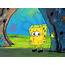 Tired Spongebob Meme Is For People Who Are Exhausted  Business Insider