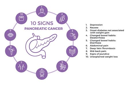 Primary Signs Of Pancreatic Cancer Nabeel Cancer Care Centre