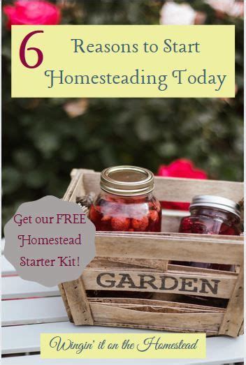 6 Reasons To Start Homesteading Today Winging It On The Homestead