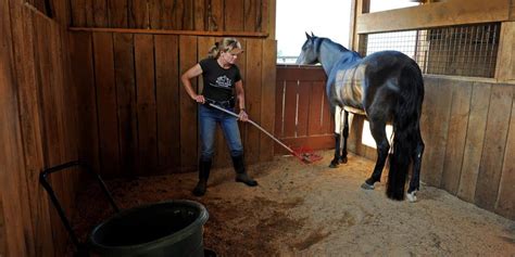 Time Saving Tips Horse Barn Chores The Horse