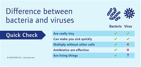 Differences Between Viruses And Bacteria I Sanitized Ag