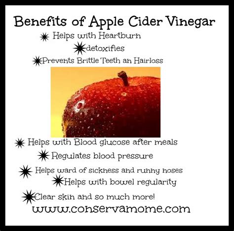 Benefits Of Apple Cider Vinegar Conservamom