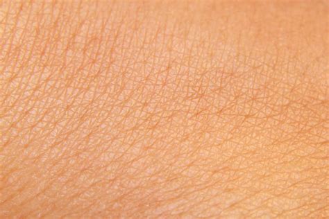 49200 Texture Of Human Skin Stock Photos Pictures And Royalty Free