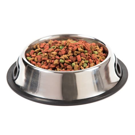 How to keep ants out of dog food bowl? Dog Bowls & Feeders | Food & Water Dispensers ...