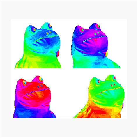 17 Rainbow Frog Meme  Transparent