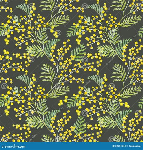 Watercolor Mimosa Vector Pattern Stock Vector Illustration Of Mimosa