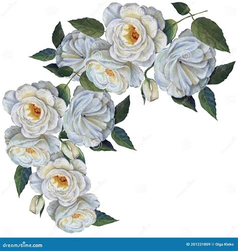 Roses Drawing In Pastel On White Background Stock Illustration
