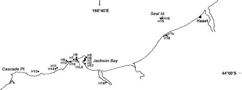Location Of Stations H01 H19 In The 1999 Cascade Haast Survey