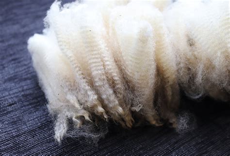 Processing Raw Wool