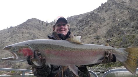 Idaho Steelhead Fishing On The Salmon River River Adventures Llc