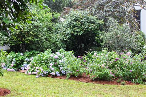 And just like anything else, landscaped areas need occasional maintenance to look their best. How to Plan a Low-Maintenance Landscape | how-tos | DIY