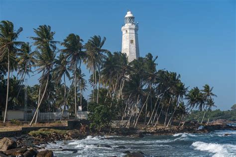 The Best Day Trips And Tours From Mirissa Sri Lanka
