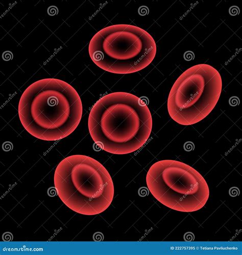 Erythrocytes In Blood Vessel Stock Vector Illustration Of Pattern