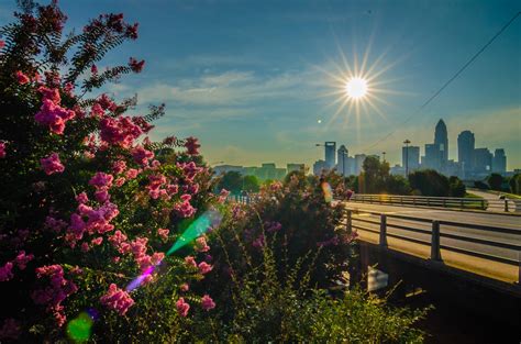 Charlotte City Skyline Free Stock Photo Public Domain Pictures