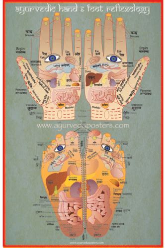 Hand And Foot Reflexology 11x17 Ayurveda Posters