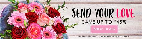 Livechat i was very disappointed in the way you have people thinking you are a local florist in fruitland, md. Flower Delivery Services | Send Flowers Online Nationwide ...