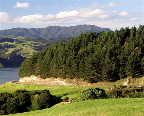 Physiological Growth Modelling Of Forests In New Zealand