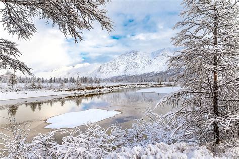 Sfondi Paesaggio Lago La Neve Inverno Ramo Ghiaccio Brina
