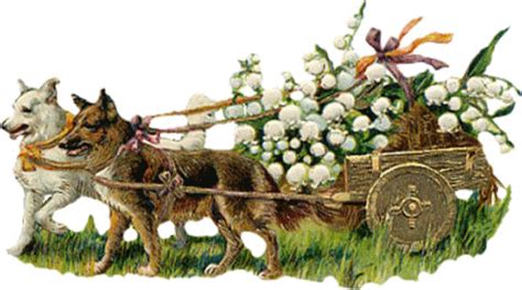 Photos de muguets humoristiques : 1er MAI MUGUET DANS LA BROUETTE TIREE PAR LES CHIENS - Centerblog