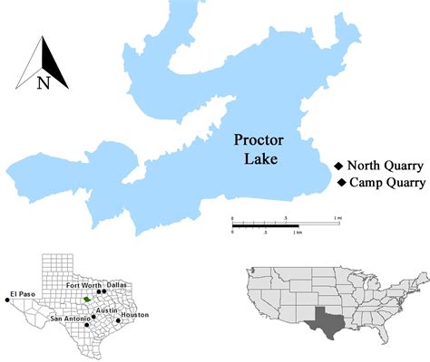 Equatorial Minnesota The Proctor Lake Hypsilophodont