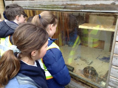 Y5 Newquay Zoo St Ives Junior School