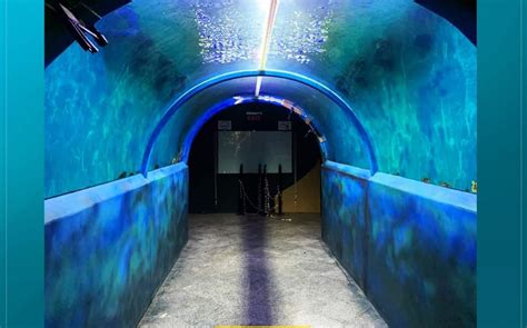 Indian Railways First Movable Freshwater Tunnel Aquarium Opens At