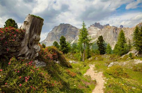 Hiking Path In The Dolomites Italy By Béla Török On 500px Cr🇮🇹